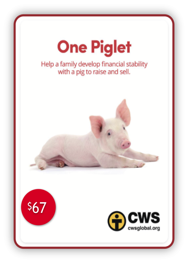 cws piglet