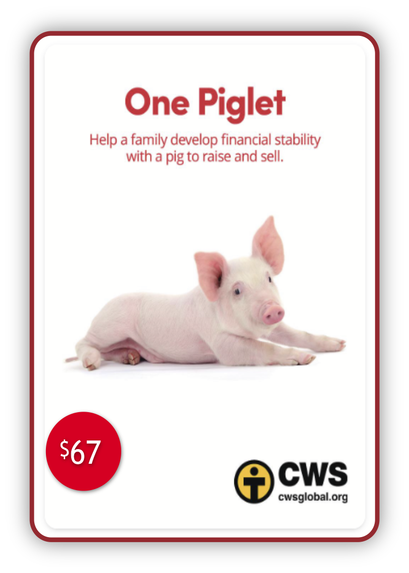 cws piglet