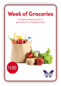 hh week of groceries
